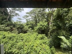 Eng Kong Garden (D21), Terrace #621492041